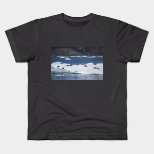 USA. Alaska. Sea Otters and Seal. Kids T-Shirt